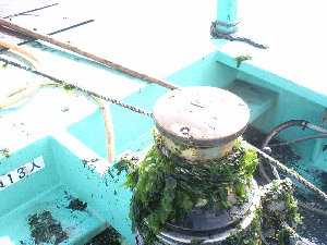 myweb16031010.jpg