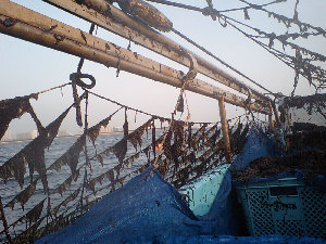 myweb16031012.jpg